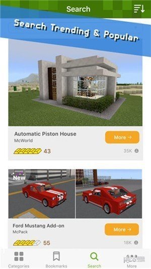 你曾见过什么特别的博物馆展品？